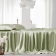 Sage Green 22 Momme Mulberry Silk Sheet Set